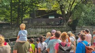 Viele Menschen stehen vor einem Gehege in Zoo, im Hintergrund sieht man die Fütterung eines Seelöwen