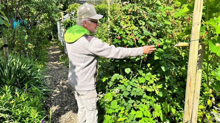 Im Garten von Ulrich Erxleben wachsen 500 essbare Pflanzen