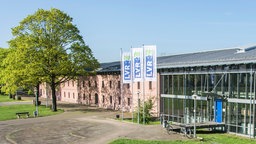 Aussenfassade des Museums mit drei LVR Fahnen vor der Tür