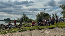 Mehrere Menschen sitzen auf einer Wiese am Rhein