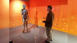 Ein Besucher steht vor einer Glaswand, dahinter Roboter Mira.
