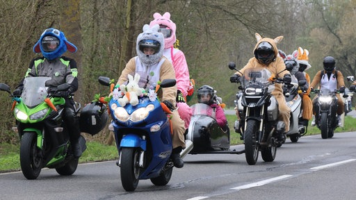Verkleidete Hasen auf Motorrädern