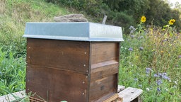 Künstlicher Bienenstock auf der Blumenwiese 