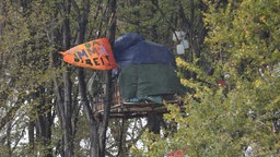 In den Bäumen harren Waldbesetzer aus