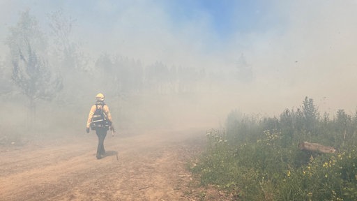 Zu sehen ist eine Feuerwehrperson, die auf einem verrauchten Waldweg läuft.