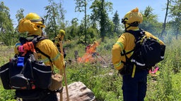 Zu sehen sind zwei Feuerwehrleute auf der Waldfläche.