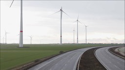 Blick auf den Windpark Bedburg 