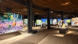Ausstellung Wald mit großen Schaubildern im Gasometer