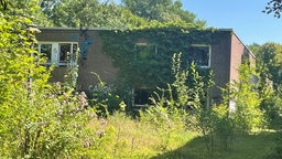 Auf dem Foto ist ein mit Graffit besprühtes und von Efeu beranktes Gebäude, das zwischen Bäumen steht. 