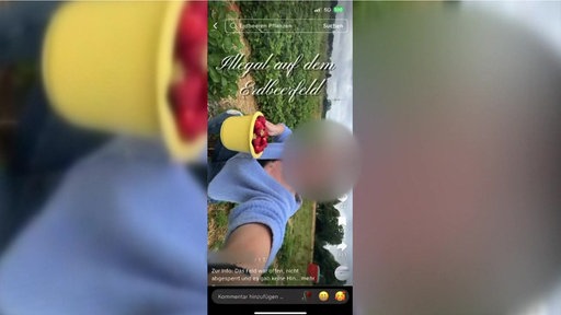 Tiktokerin mit geblurrtem Gesicht trägt gelben Eimer voller Erdbeeren.