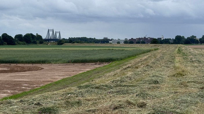 Der alte Rheindeich bei Duisburg-Mündelheim.