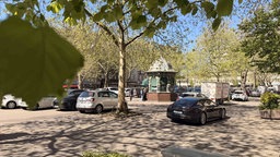 Auf einem großen Parkplatz mit blühenden Bäumen stehen vereinzelt Autos.