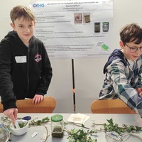 Zwei zwölfjährige Jungen zerstampfen Efeu in einem Mörser.