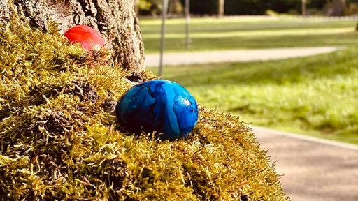 Zwei Ostereier an einem Baum