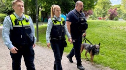 Drei Mitarbeitende des Ordnungsdienstes gehen in einem Park mit dem neuen Diensthund entlang.