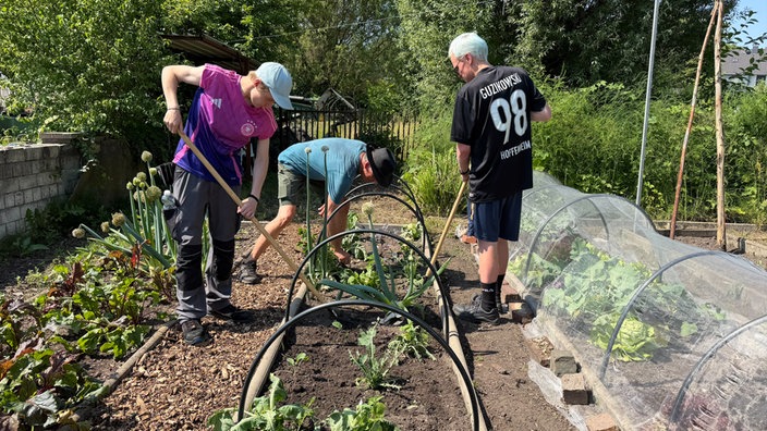 Junge Männer arbeiten im Beet 