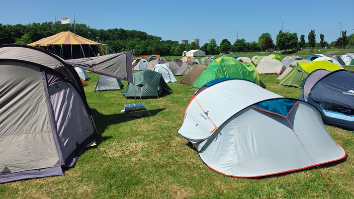 Campingzelte auf einer grünen Wiese bei Sonnenschein.
