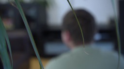 Ein junger Mann sitzt mit dem Rücken zur Kamera, im Vordergrund ist eine Pflanze