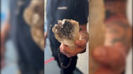 Ein männlicher Polizist hält die Überreste einer durch Böller zerfetzten Hand aus dem 3D-Drucker in seiner Hand