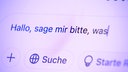 Auf einem Computer-Bildschirm steht der Text "Hallo, sage mir bitte, was".