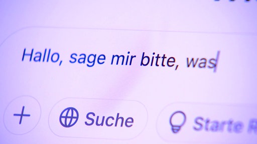Auf einem Computer-Bildschirm steht der Text "Hallo, sage mir bitte, was".