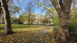 Park an der Hauffstraße Ecke Norbertuskirchplatz