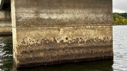 Ein Brückenpfeiler, der von kleinen Muschel überwuchert ist