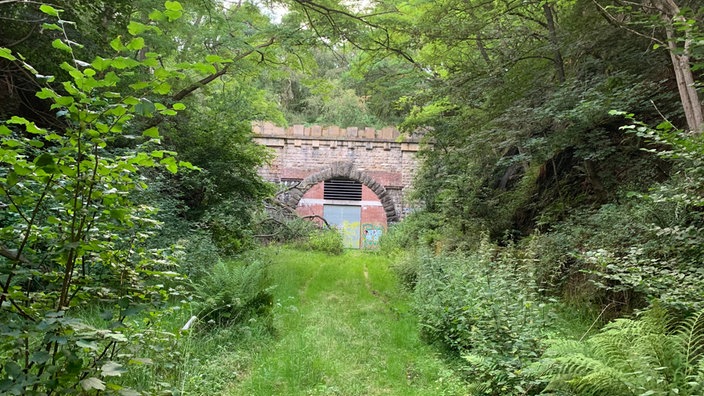 Zugewachsene Bahnstrecke mit Portal des Silscheder Tunnels in Gevelsberg - künftiger Radweg