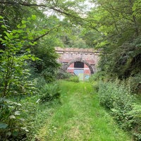 Zugewachsene Bahnstrecke mit Portal des Silscheder Tunnels in Gevelsberg - künftiger Radweg