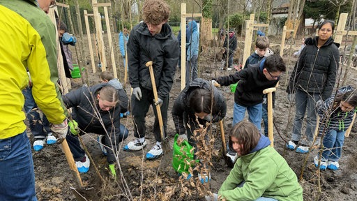 Schüler vom Märkischen Gymnasium in Bochum engagieren sich für den Tiny Forest.