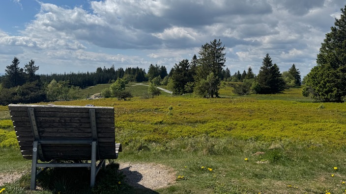 Rothaarhaarsteig