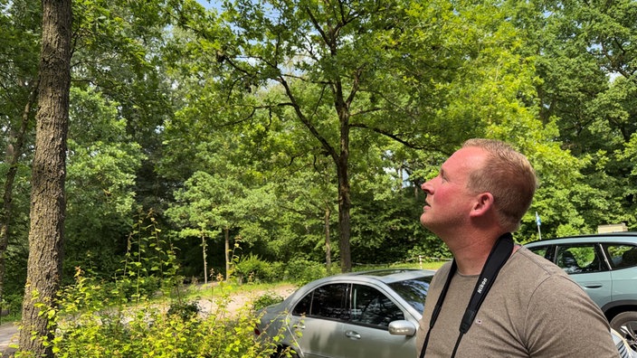 Fabian Nienaber überprüft den Baumbestand in Lippstadt