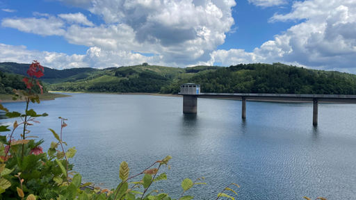 Obernautalsperre in der unteren Mitte des Bildes, im Hintergrund grüne Hügel und ein wolkiger Himmel
