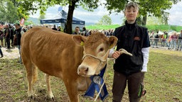Elias Winte steht neben dem braunen Rind Vespa, das eine blaue Scherpe um den Hals trägt