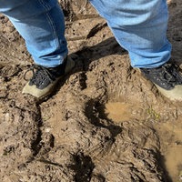 Schuhe im matschigen Boden
