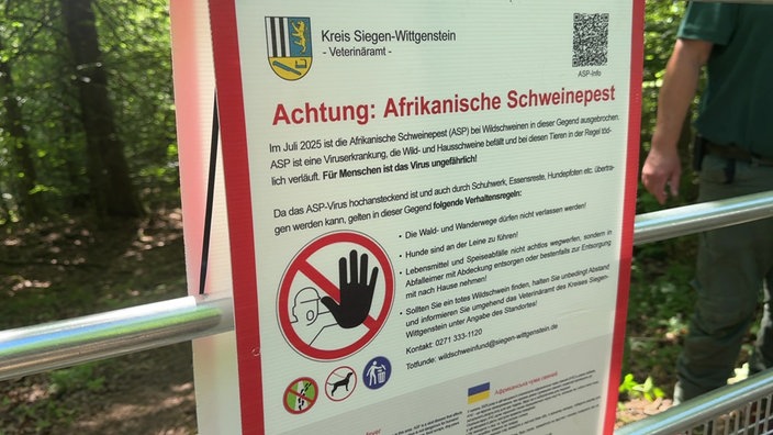 Warnhinweis bezüglich Afrikanischer Schweinepest 
