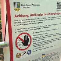 Warnhinweis bezüglich Afrikanischer Schweinepest 