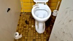 Kot neben einer Toilette