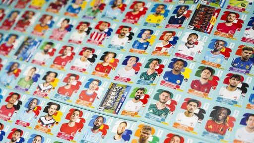 Die gedruckten Panini-Sammelkarten. Auf diesen sieht man die Fußballspieler etwa bis zur Brustpartie.