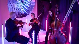 Musiker:innen des WDR Funkhausorchesters