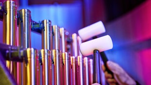 Musiker:innen des WDR Funkhausorchesters