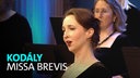 Der WDR Rundfunkchor unter Leitung von Philipp Ahmann singt Missa Brevis von Zoltán Kodály am 25.01.2026 im WDR Funkhaus Wallrafplatz.