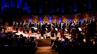 Musiker:innen des WDR Sinfonieorchesters