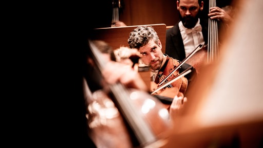 Musiker:innen des WDR Sinfonieorchesters