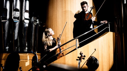 Musiker:innen des WDR Sinfonieorchesters