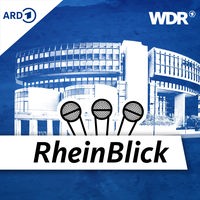 Maximilian Krah vor der Oberverwaltungsgericht