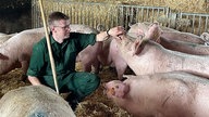 Christof Sandhäger, Landwirt in Rheda Wiedenbrück, mit seinen Schweinen