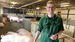 Christoph Sandhäger, Landwirt in Rheda-Wiedenbrück, mit seinen Schweinen