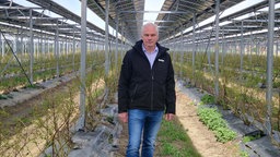 Anton Wissing B&W energy steht in einer Anlage. Dort geht es um Anbau von Heidelbeeren unter Solar