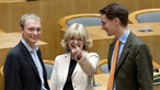 Christian Lindner (FDP), Barbara Sommer (CDU), Hendrik Wüst (CDU) im Landtag 2005
